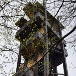 Margaretenwarten – Margit-kilátó